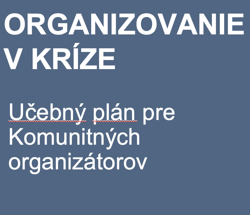 Organizovanie v kríze